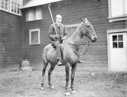 Polo player holding - holding, a