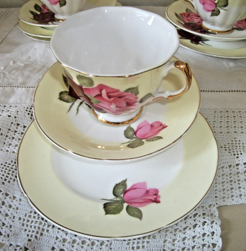 Set pretty english bone - x,