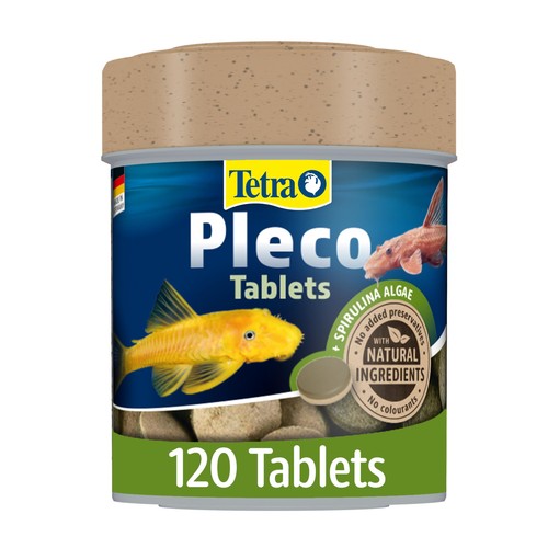 Tetra pleco fish - fish, food