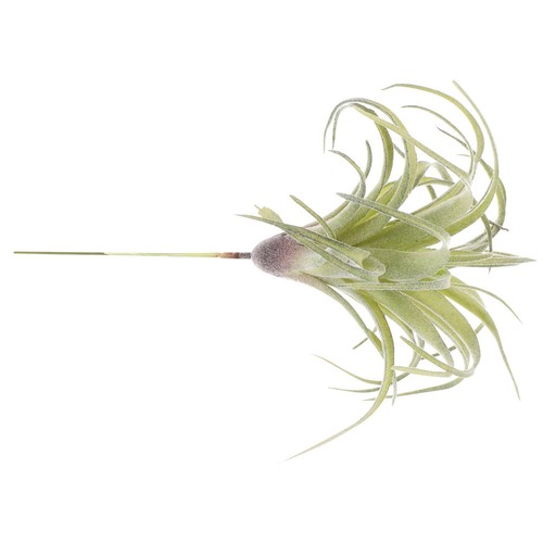 Artificial flower home decor - flower,