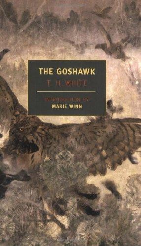 The goshawk new york - goshawk, review
