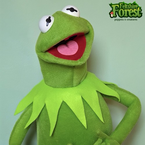 Kermit cousin professional - kermit’s,