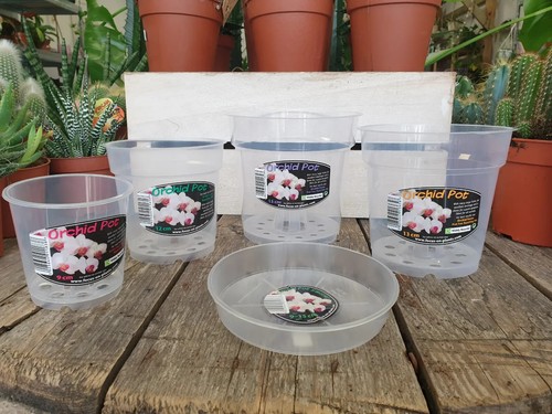 Clear orchid pots - clear, and