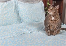 Trekatte Upsy Daisy Sheet Sets, Pilllow Cases, Duvets & Shams Whole Sale Prices!