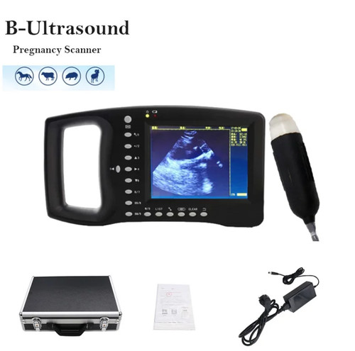 Portable veterinary ultrasound - portable,