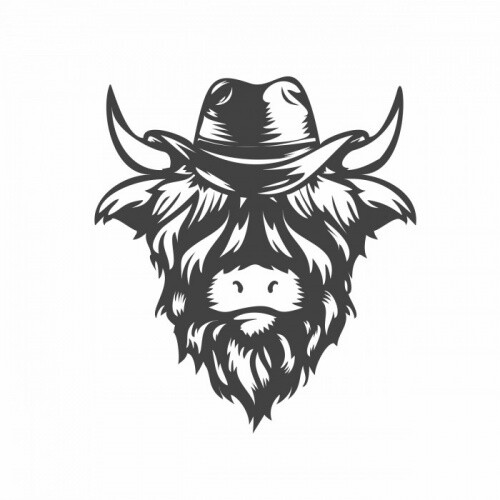 Highland cattle sticker