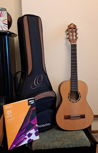 Ortega r121 classical guitar - r121,