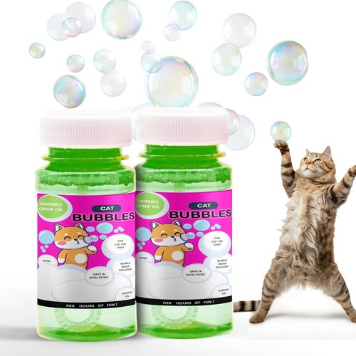 Cat kitten interactive - cat,