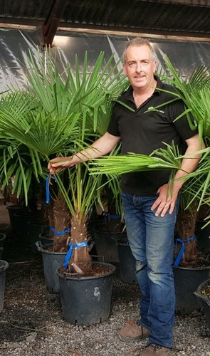 5ft inc pot premium - 1x,