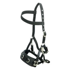 Cameo Professional Lunge Cavesson With Detachable Bit Straps - Black