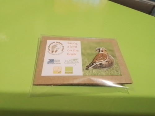 Rspb turtle dove pin badge - rspb,