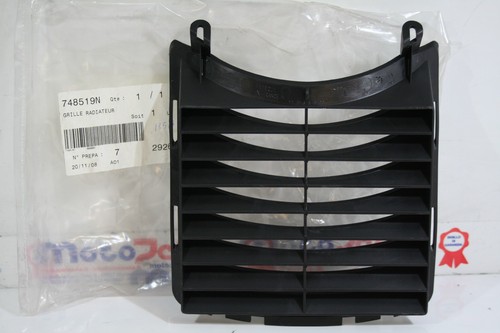 Radiator grid peugeot jet - grid,