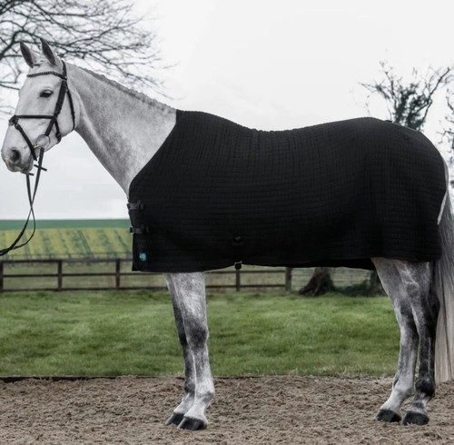 Nuumed cooler rug - nuumed,