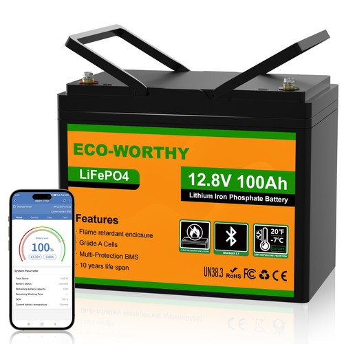 Eco worthy 12v - 12v, 100ah