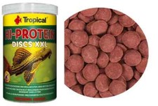 Tropical Hi-Protein Pleco's