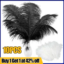 10PCS Large Ostrich Feathers
