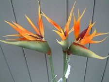 3 x Large Artificial Bird of Paradise Flowers