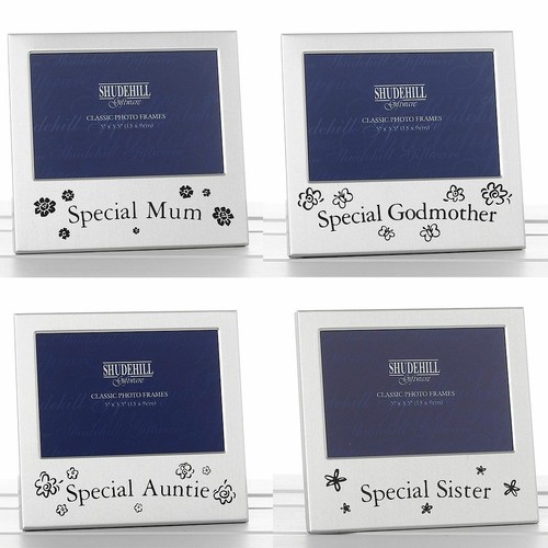 Shudehill satin silver frame - shudehill,