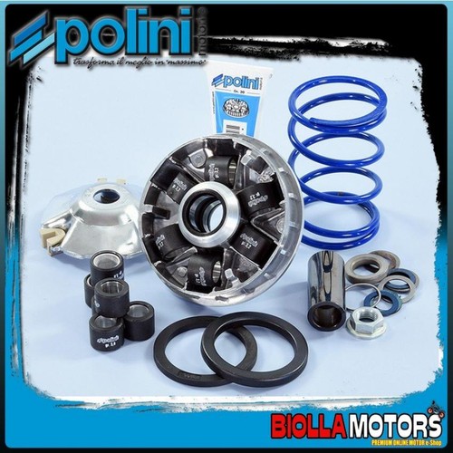 241 751 variator polini - variator,