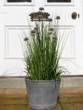 Vintage Style Galvanised Metal Grey Round Ribbed Dolly Tub Garden Planter Pot