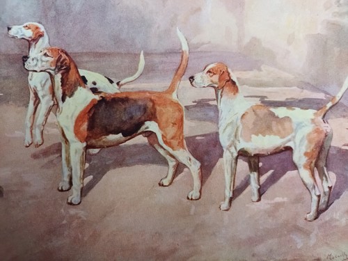 Michael lyne fox - lyne, hunting