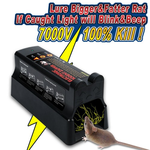 Electronic mouse trap mice - mouse, rat