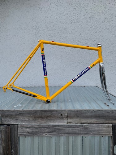 Gios professional frameset - gios,