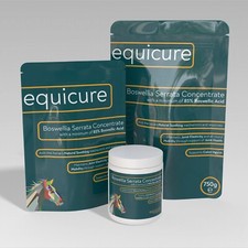 Equicure Boswellia Serrata