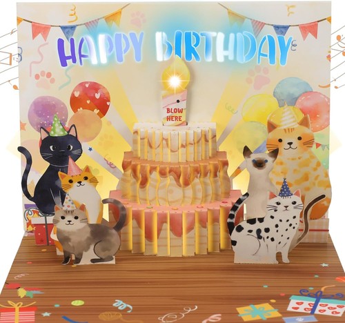 Ecloverlife cat pop musical - cat, up