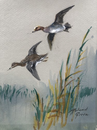 Rowland green watercolour - green,
