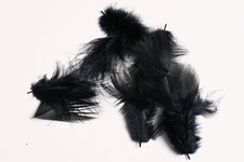 Nature's Spirit French