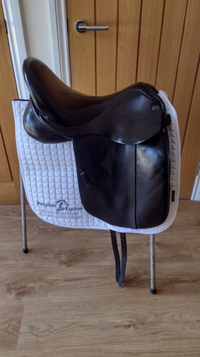 Sue carson harmony dressage - sue,