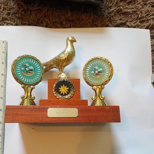 Pigeon racing trophy - pigeon,