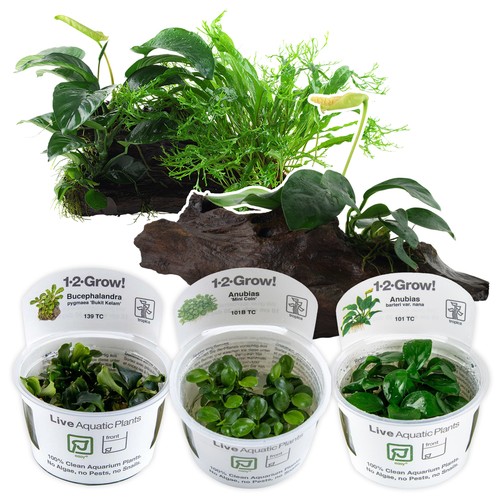 Tropica live aquarium - tropica,