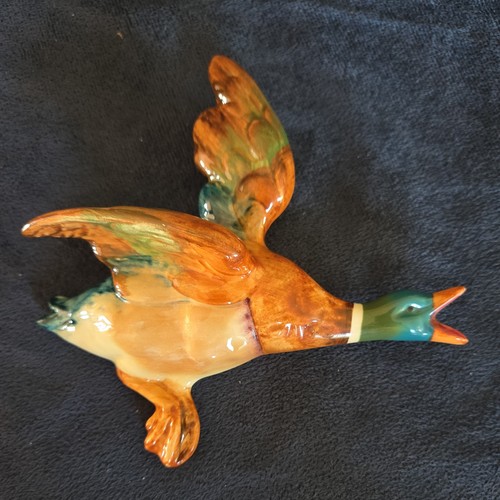 Beswick gloss flying - 5, 1/2"