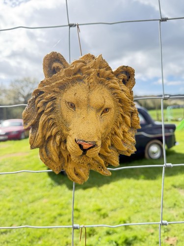 Lion garden plaque medium size - lion,
