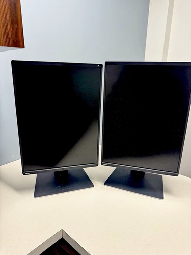 Eizo radiforce rx360 - rx360, 21in