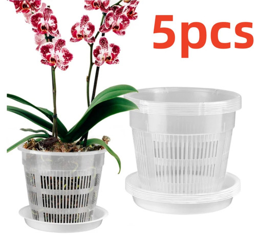 5pcs transparent orchid pot - transparent,