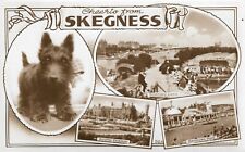SKEGNESS Multi Views - Posted 1954  Postcard ref S35