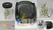 STICK INSECT CAGE THE ULTIMATE REARING KIT
