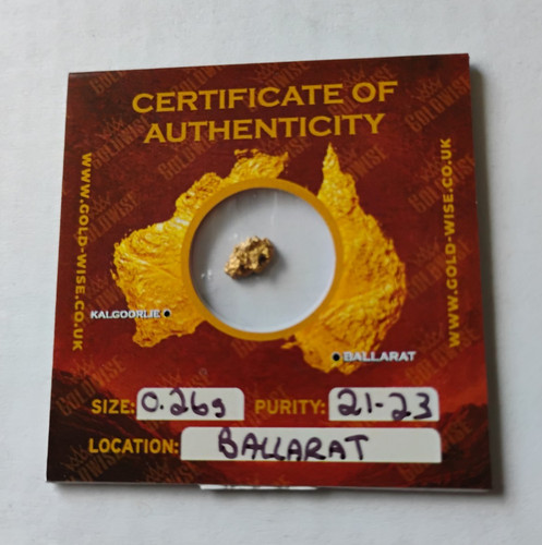 Goldwise natural gold nugget - natural,