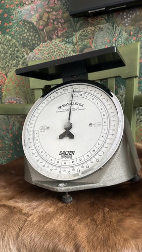 Vintage scales salter - vintage,