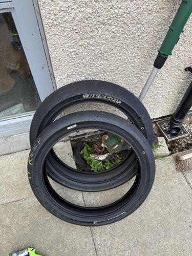 Dunlop medium moto slick - dunlop,
