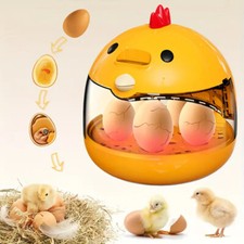 Egg Incubator Hatching Machine Breeder Portabel Chicken Eggs Hatcher for 5 Eggs