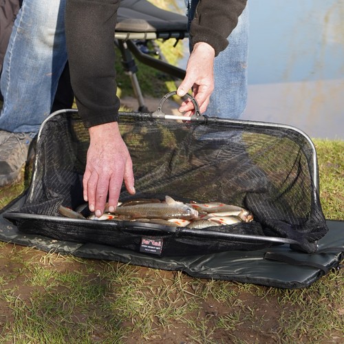 Ftc strong carp - ftc, weigh