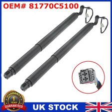 2X ELECTRONIC TAILGATE BOOT