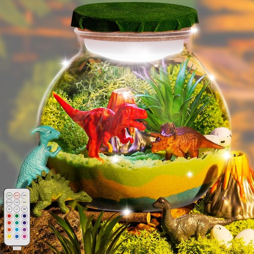 Dinosaur terrarium kit diy - terrarium,