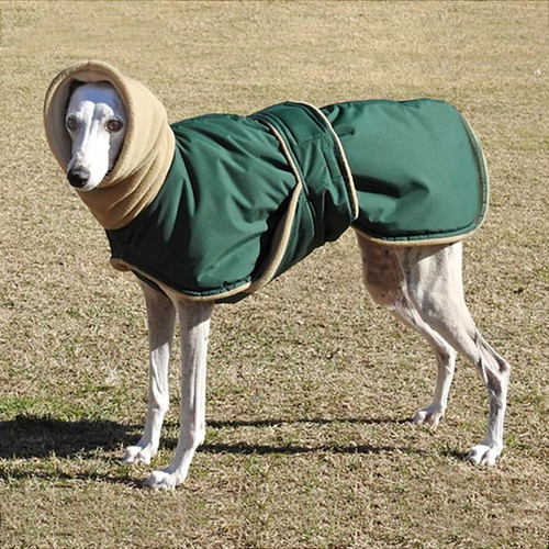 Waterproof dog coat - waterproof,