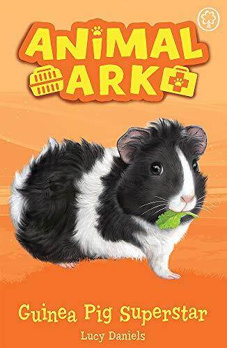Guinea pig superstar - guinea, 7