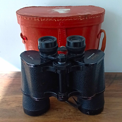 Cardinal 10x50 porro - cardinal,